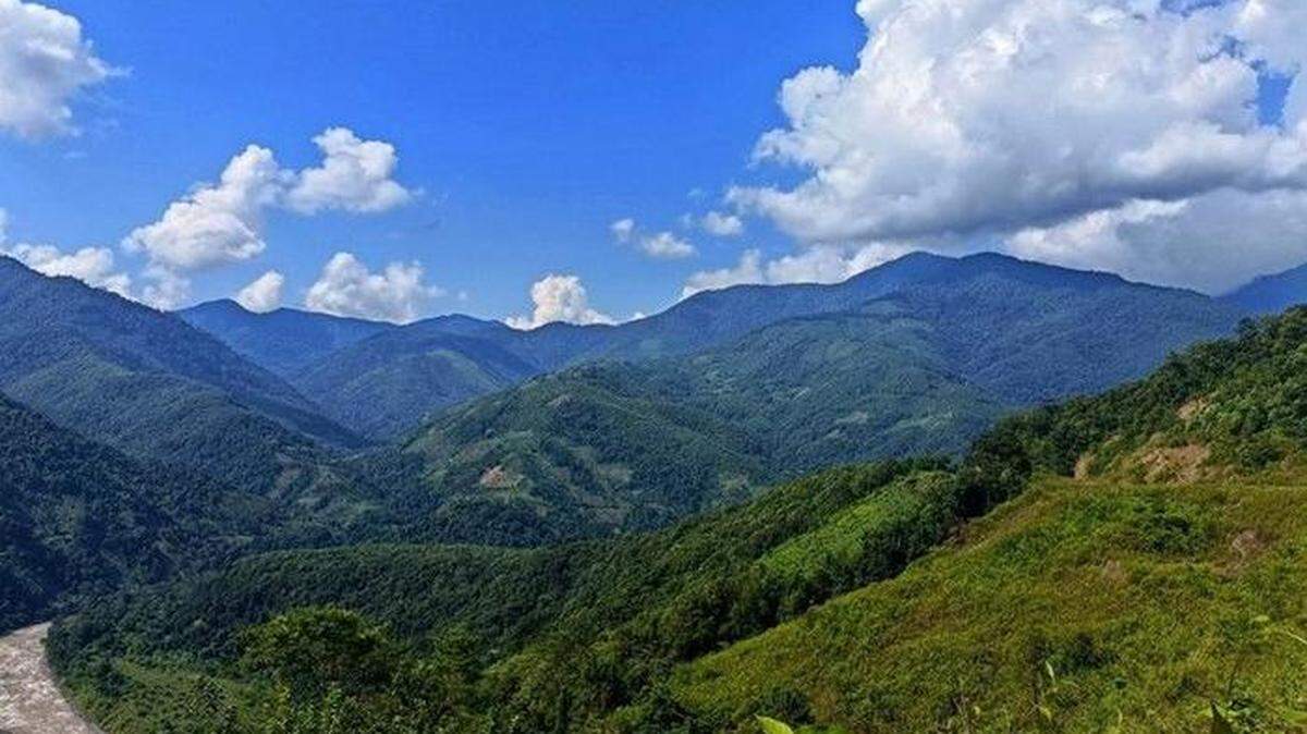 The Siang Valley in far eastern India is relatively unexplored, but a small blue creature was recently discovered.
