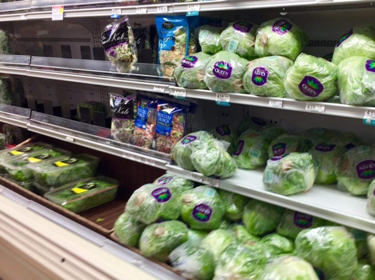Plenty of iceberg lettuce but no romaine at the Publix in South Miami during the second romaine lettuce E. coli outbreak of the year.