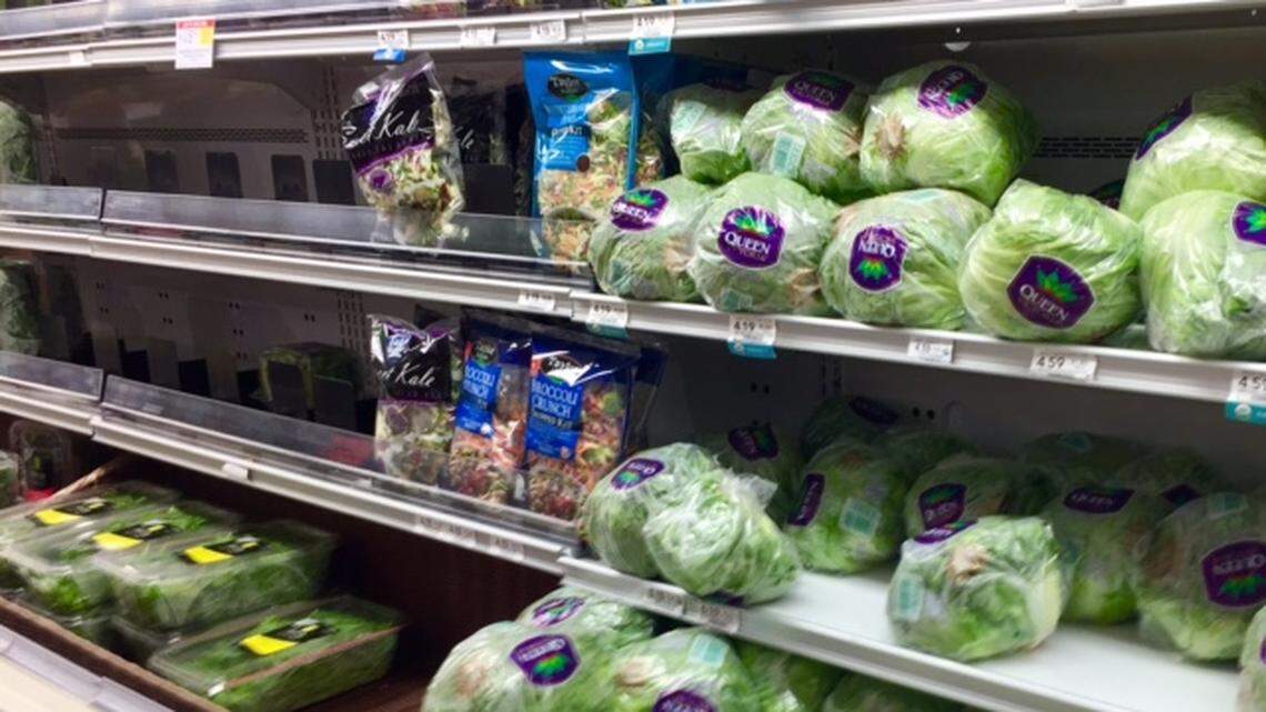 Plenty of iceberg lettuce but no romaine at the Publix in South Miami during the second romaine lettuce E. coli outbreak of the year.