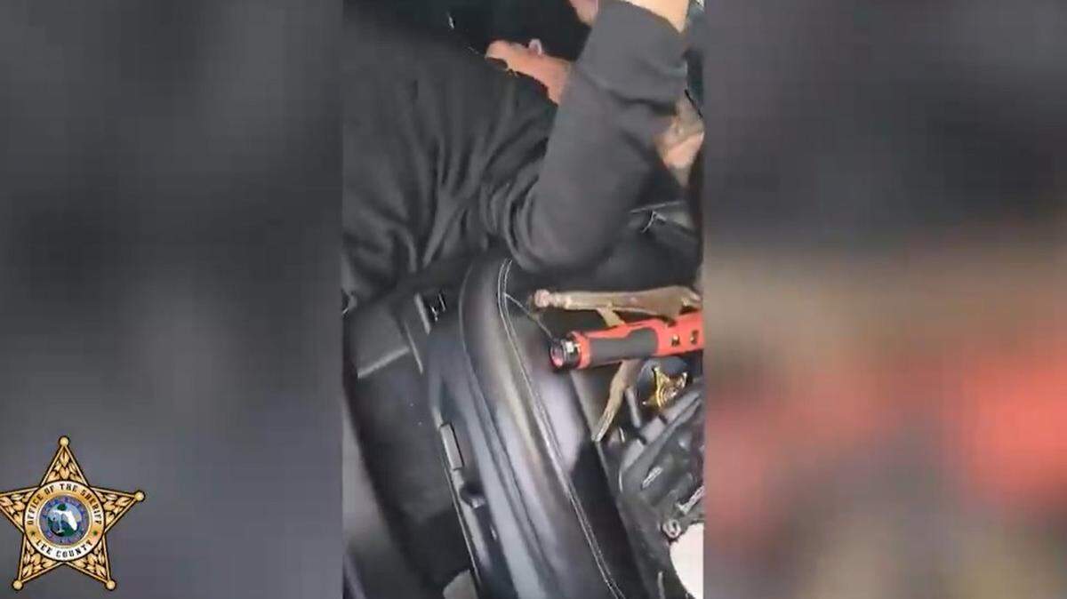 Kitten rescued from dashboard/Lee County Sheriff’s Office
