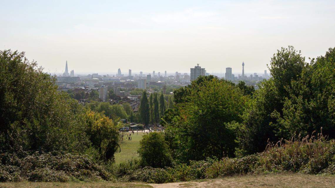 U.K. bird watchers spotted the animal, not seen in Hampstead Heath in over 75 years, swooping over the park at dusk, photos show.