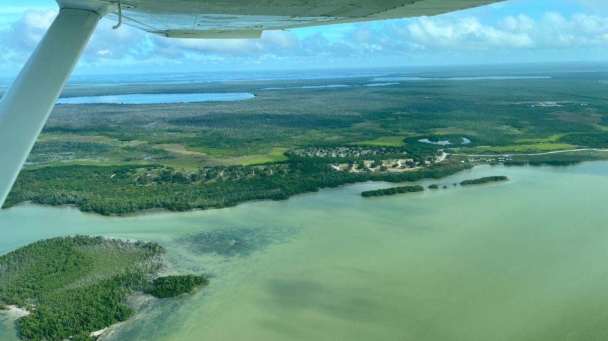 A fisherman was bitten on the hand by a shark while in the Everglades National Park Friday morning. He was airlifted to a hospital.