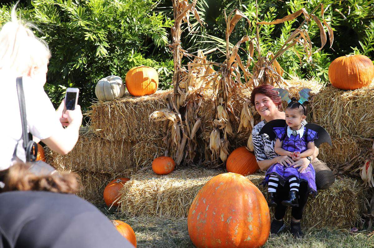 Los niños pueden disfrazarse para participar en concursos y tomarse fotos, y ver a los animales comiendo sus golosinas de Halloween en Zoo Boo.