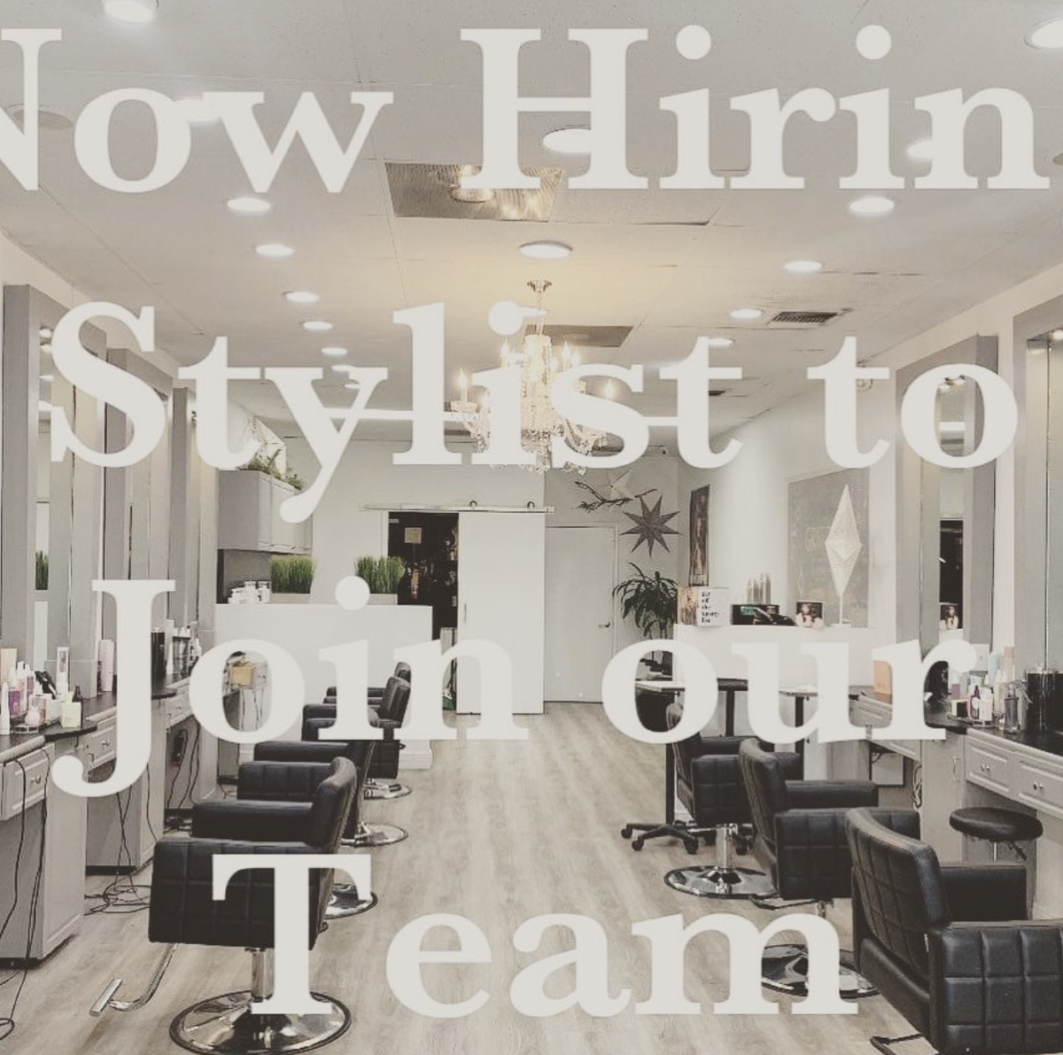 An Instagram post from Salon Euphoria in July asking for applicants. Months later, owner Vinny Morris says he is still looking to hire for vacant roles. 
