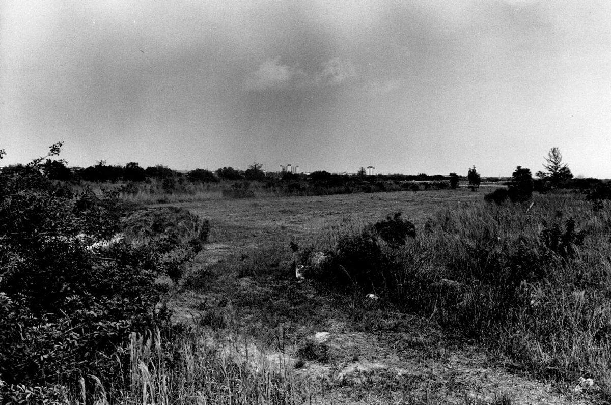 Coral Springs land in 1974.