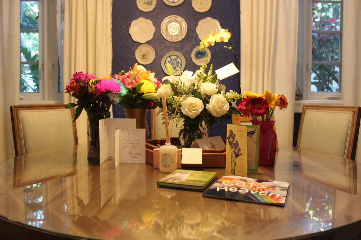 A memorial sits on the dining room table in the Raja home to commemorate Carrot the Cat, who was hit and killed by a speeding driver in their Coral Gables neighborhood.