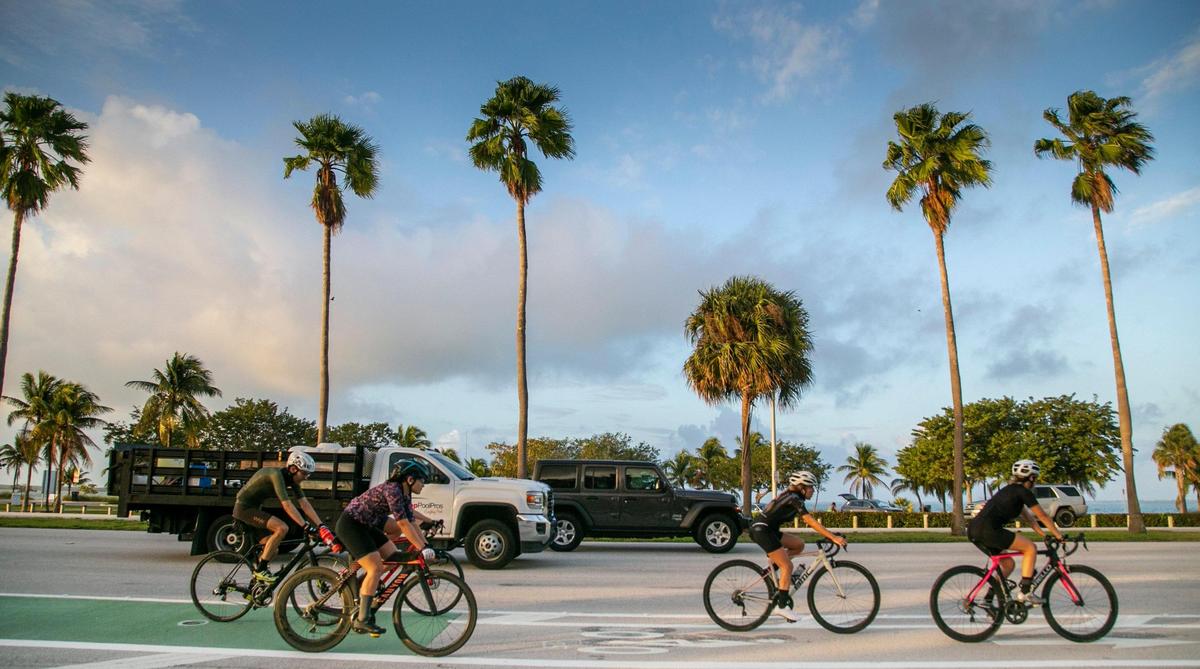 Riders head west on the Rickenbacker Causeway in a bike lane adjacent to high-speed traffic. A large number of cyclists, runners and walkers have made the stretch of road between Miami and Key Biscayne a risk for accidents.