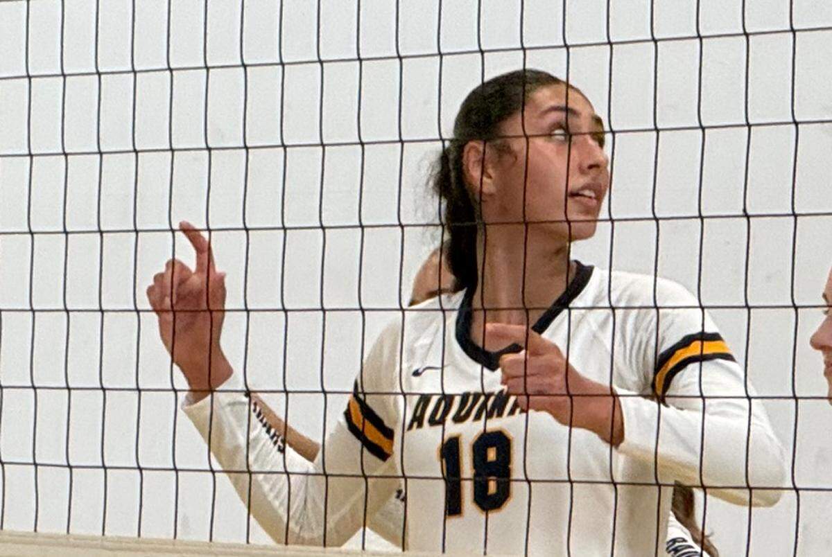 Isabella Sangha (No. 8) of the St. Thomas Aquinas’ girls’ volleyball team.