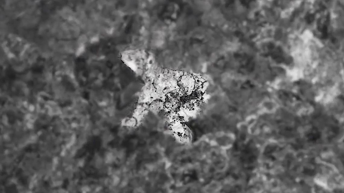 This crystal found on Mars is shaped like a polar bear, NASA says. It was discovered when on the floor of a meteorite impact crater.