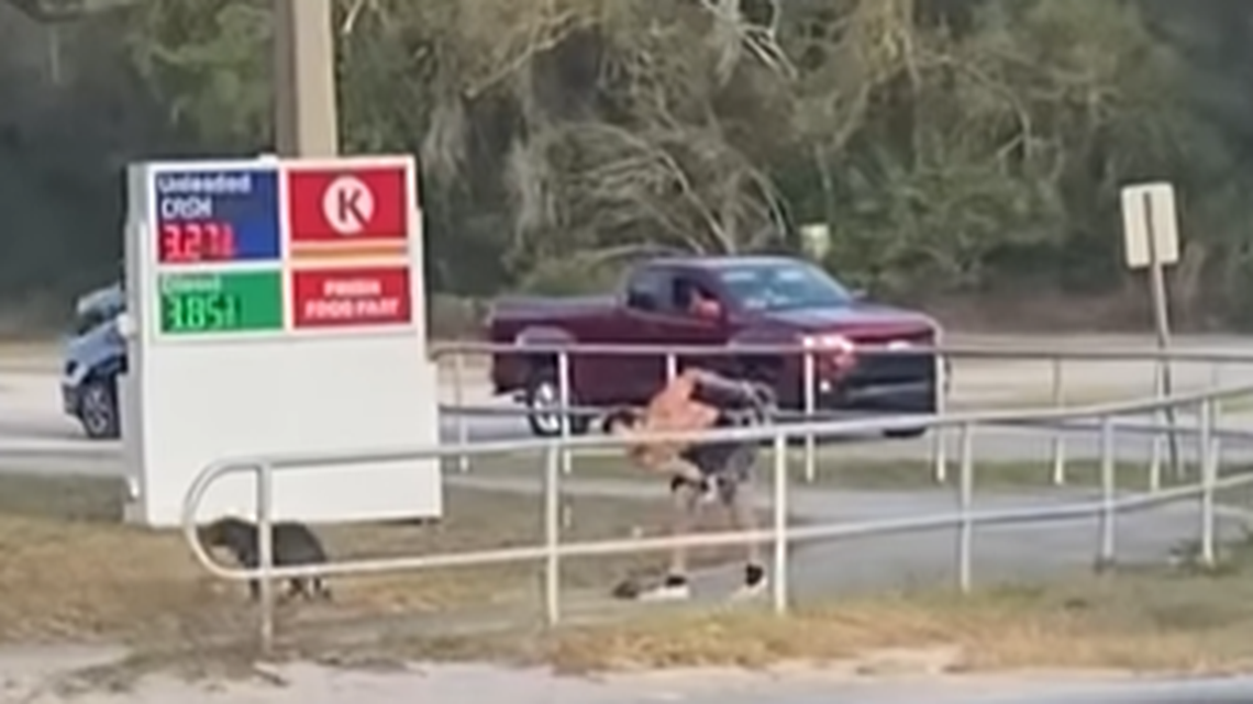 A man is accused of beating his dog in front of a Florida gas station before bystanders stepped in to stop him, a sheriff’s office said.