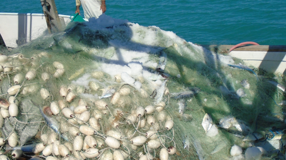 A charter fishing mate stands beside a pile of monofilament gillnetting iced down to keep pompano and Spanish mackerel underneath it fresh on Monday, Feb. 28, 2022.