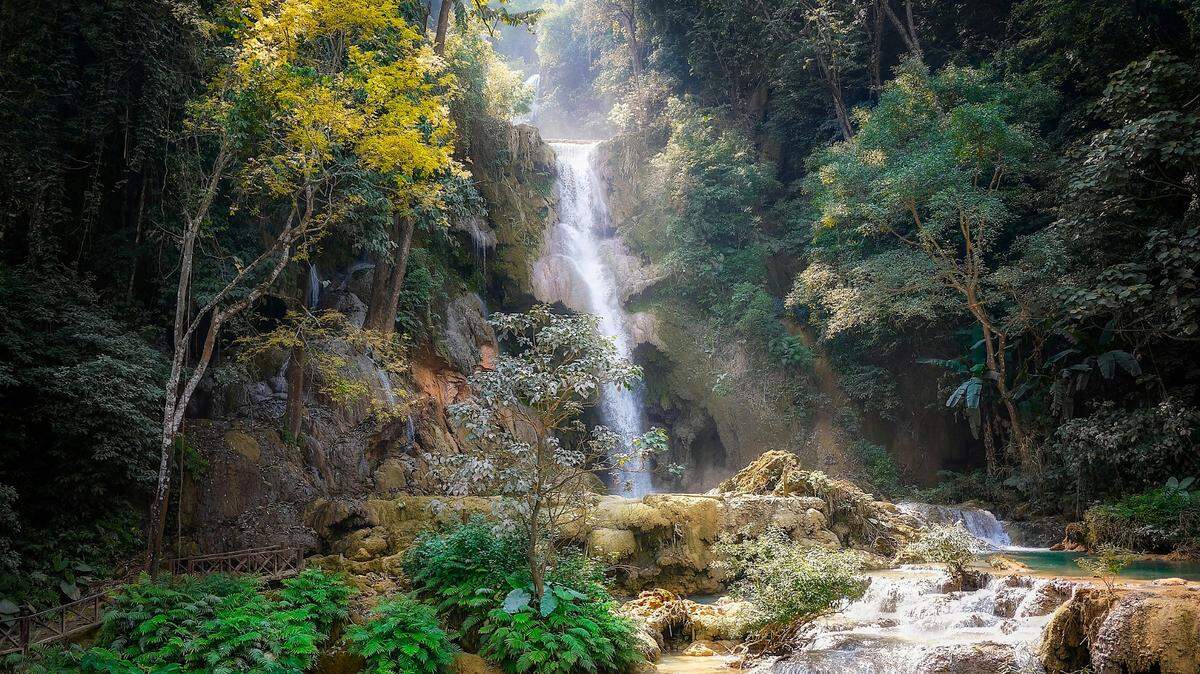 In a flowing river on a mountain plateau in Laos, a new species was discovered.