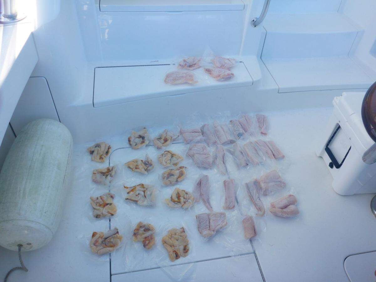 Pictured are 10 fillets of snapper/grouper, 26 fillets of wahoo and about 10 pounds of queen conch aboard a boat about 13 miles southeast of Key Largo that the U.S. Coast Guard stopped on Monday, Feb. 3, 2020.