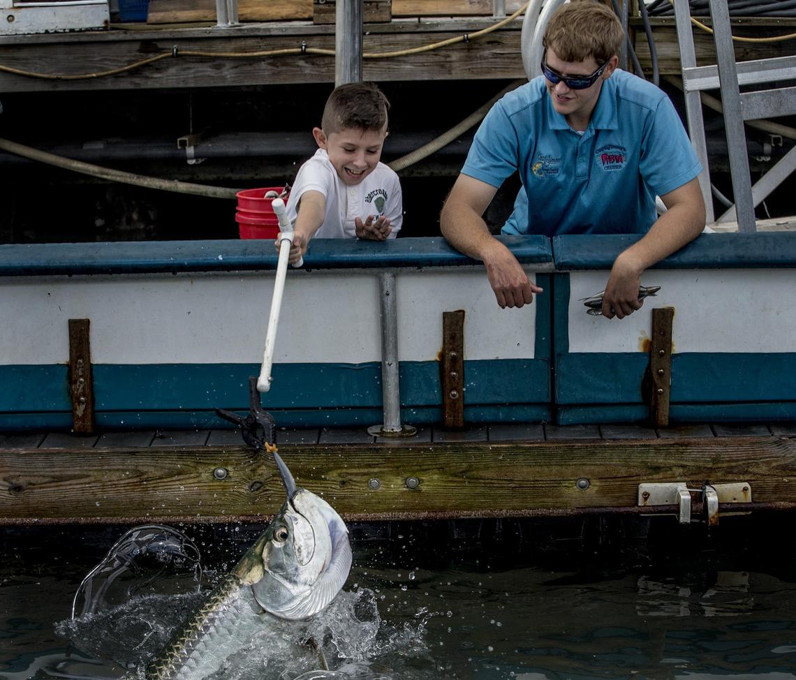 Joshua Lewis (right) , son of Captain Jimmy Lewis, helps 10 year-old Ian Duarte of Costa Rica feed a tarpon at Bayside marina, where Capt. Jimmy Lewis has tended a school of the fish for more than a decade.