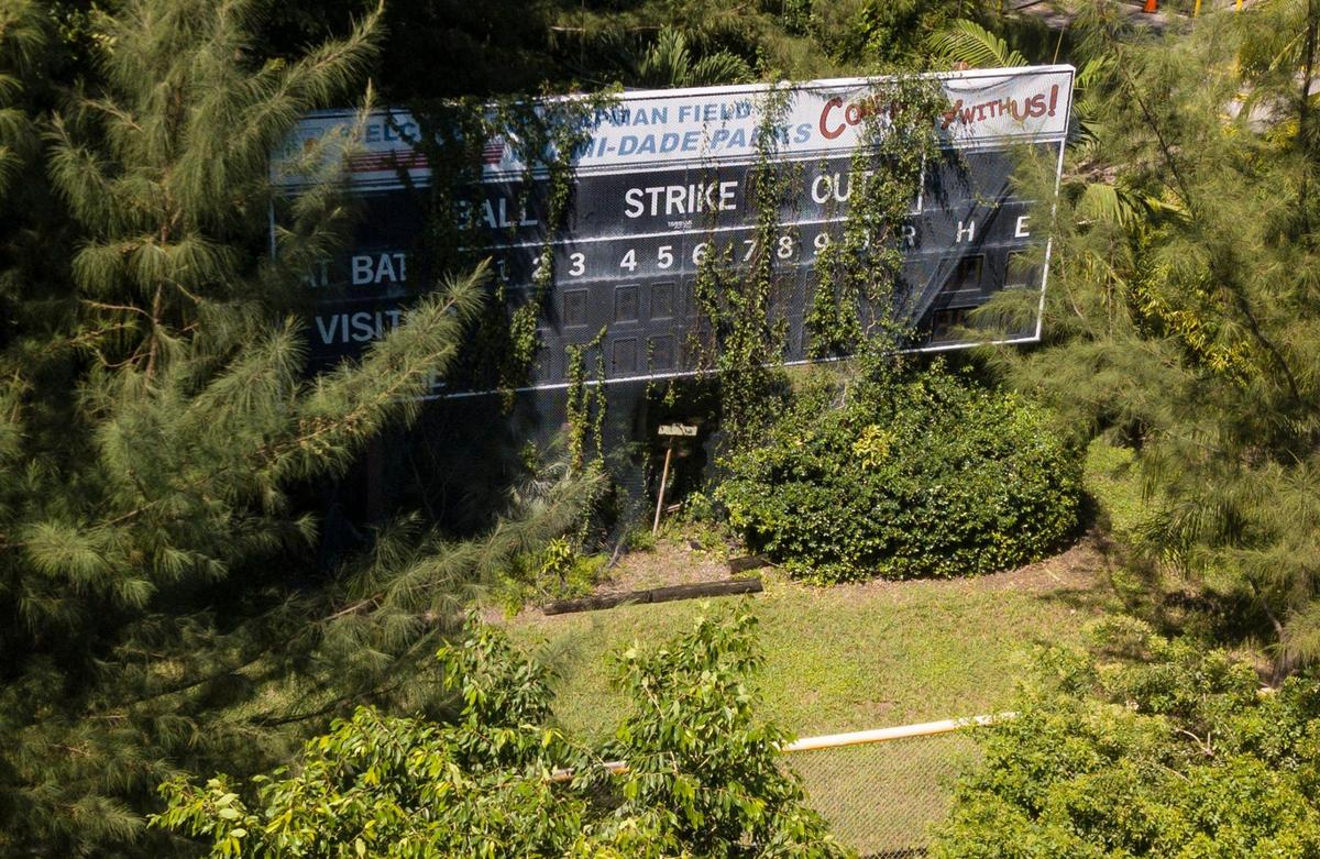 The scoreboard at one of three softball and baseball fields at Chapman Field Park is overgrown with vegetation. The fields have been closed since 2014 in order to replace contaminated outfield soil.