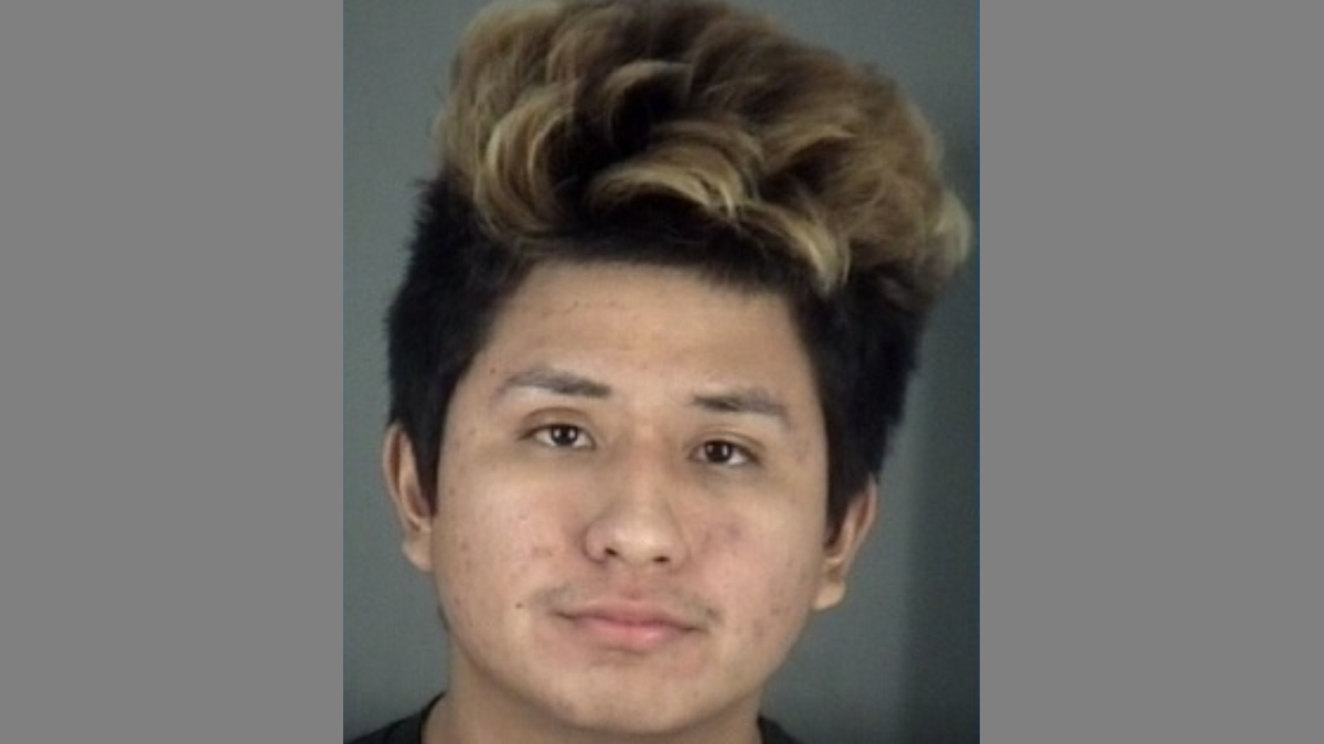 Daniel Enrique Fabian, from New Port Richey, Florida, was arrested Wednesday after police say he raped a 15-year-old while playing Grand Theft Auto — and it was overheard by a gamer on his PlayStation microphone.