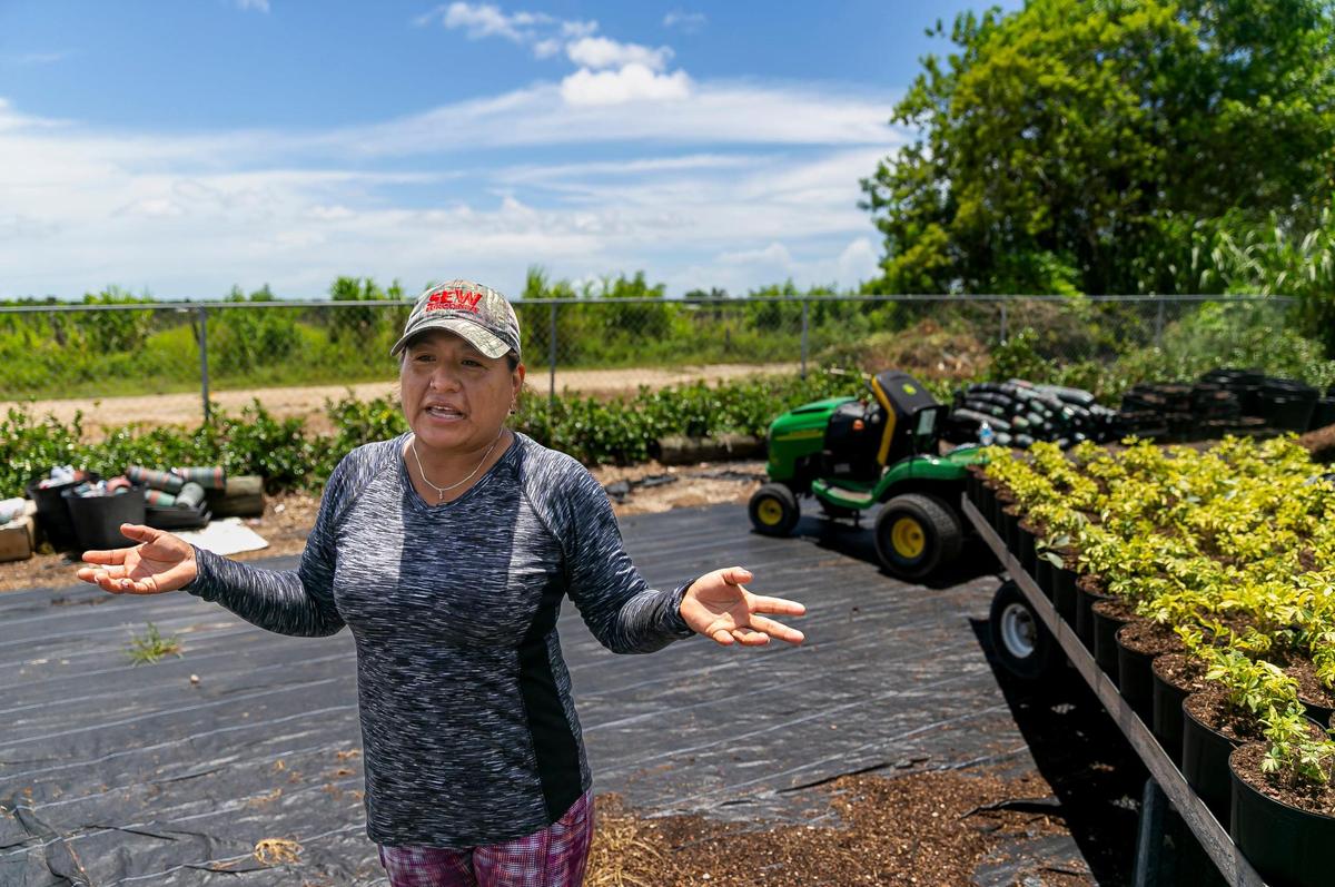Aurora Giles, an agricultural nursery worker, says she is concerned about stray bullets fired by people drawn by Henry’s Sport Shooting Range.