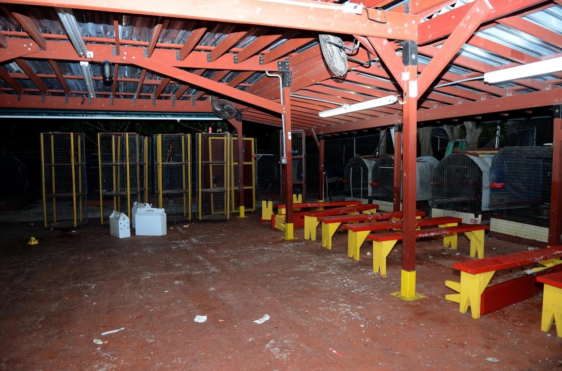 Crime scene images from an illegal cockfighting ring discovered in Northwest Miami-Dade. Cockfight referee Jose Raudel Garcia was shot and killed there on April 20, 2018.