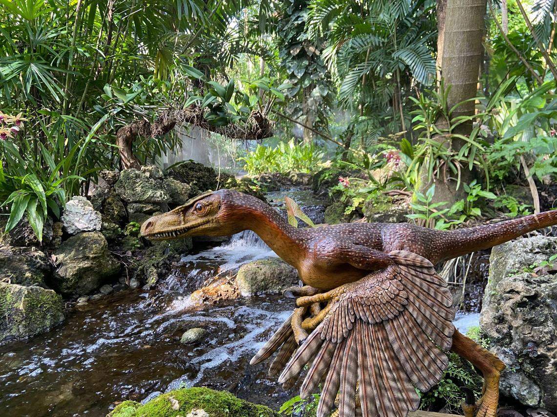 Find out what this dinosaur eats — hopefully not you — at Jurassic Garden.