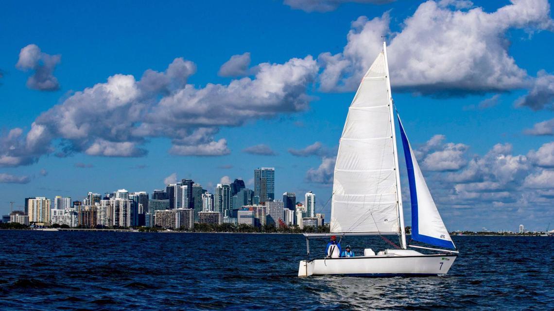File art: Argentinian sailor Matias Paillot, 44, and Shake-A-Leg Miami founder Harry Horgan sail the waters of Biscayne Bay in Miami, Florida, on Thursday, January 12, 2023.