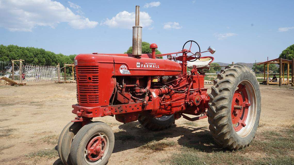 A construction contractor in Cleveland, Tennessee is accused of having an 11-year-old child work as a groundskeeper using “dangerous” equipment, feds say.