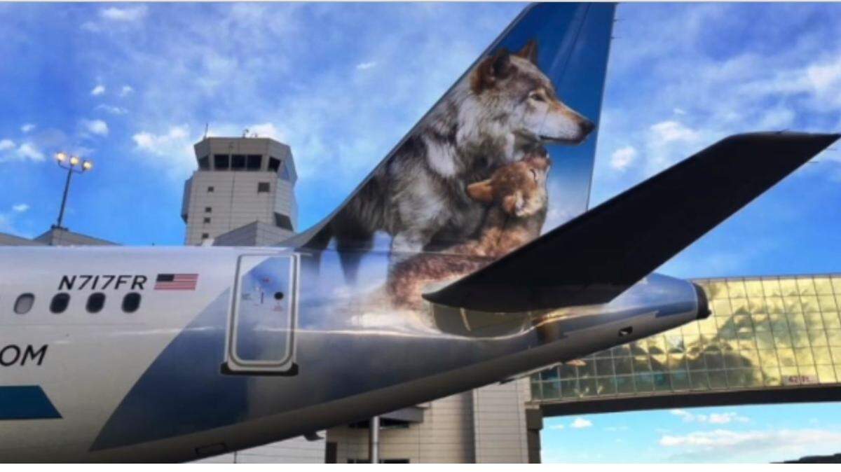 N717FR is Frontier’s Lily and Luna plane.