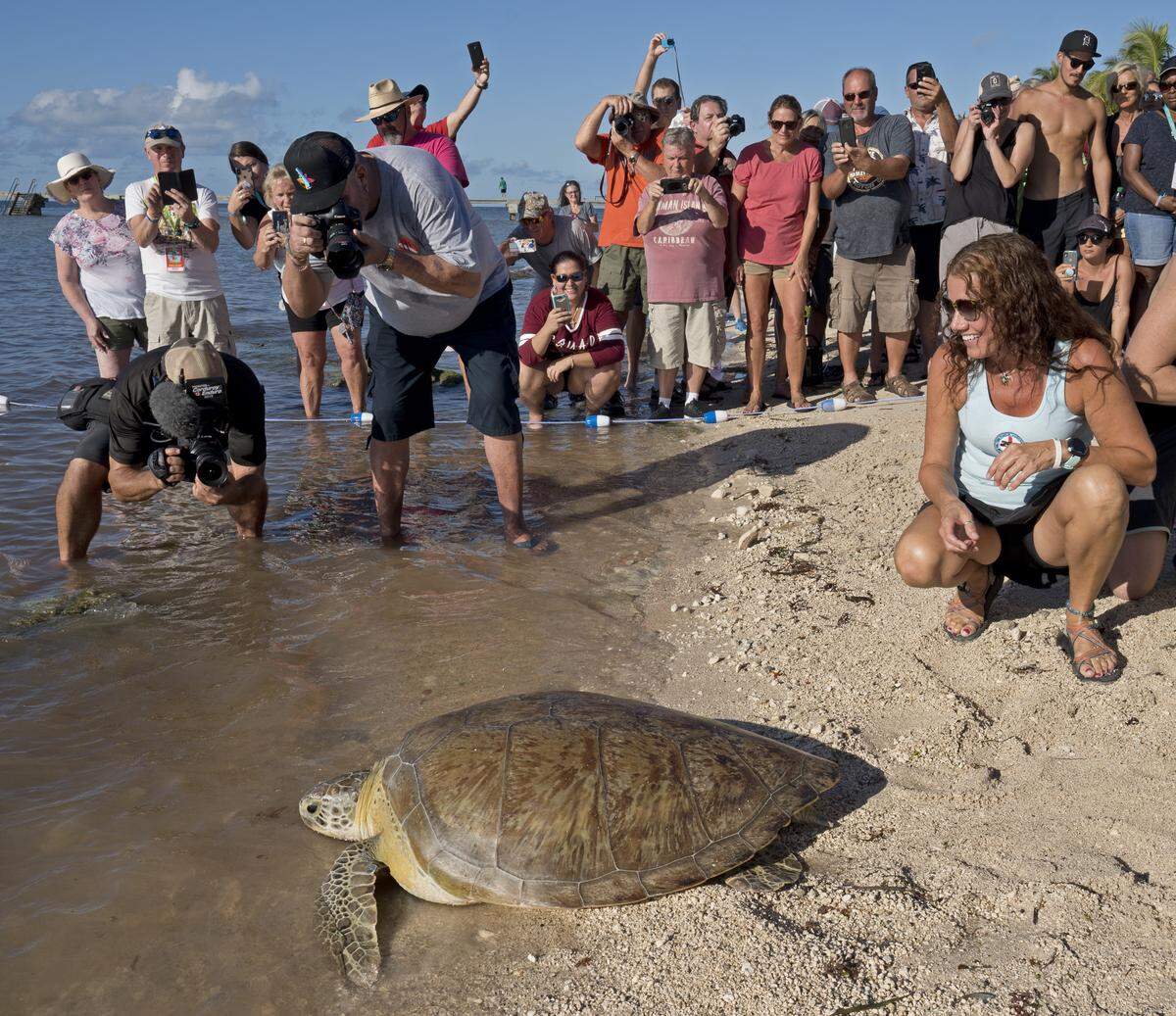 Bette Zirkelbach, right, manager of the Florida Keys-based Turtle Hospital, watches with spectators as Splinter, a federally protected green sea turtle, crawls to the Atlantic Ocean Friday. 