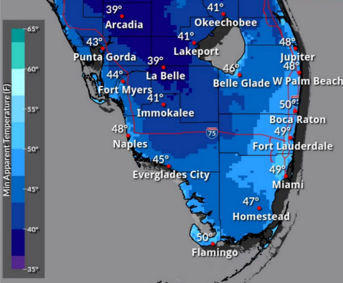 Expected minimum wind chill temperatures for South Florida in the morning of Wednesday, Feb. 21, 2024.