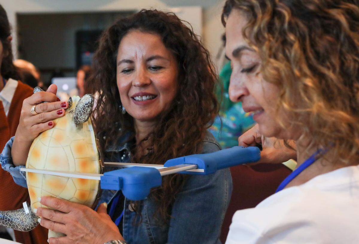 Profesoras midiendo una tortuga del programa de tortugas marinas basado en STEM de Inwater Research Group, disponible gratuitamente para muchos distritos escolares de la Florida en el simposio de profesores de los Everglades 2023 organizado por Everglades Foundation.
