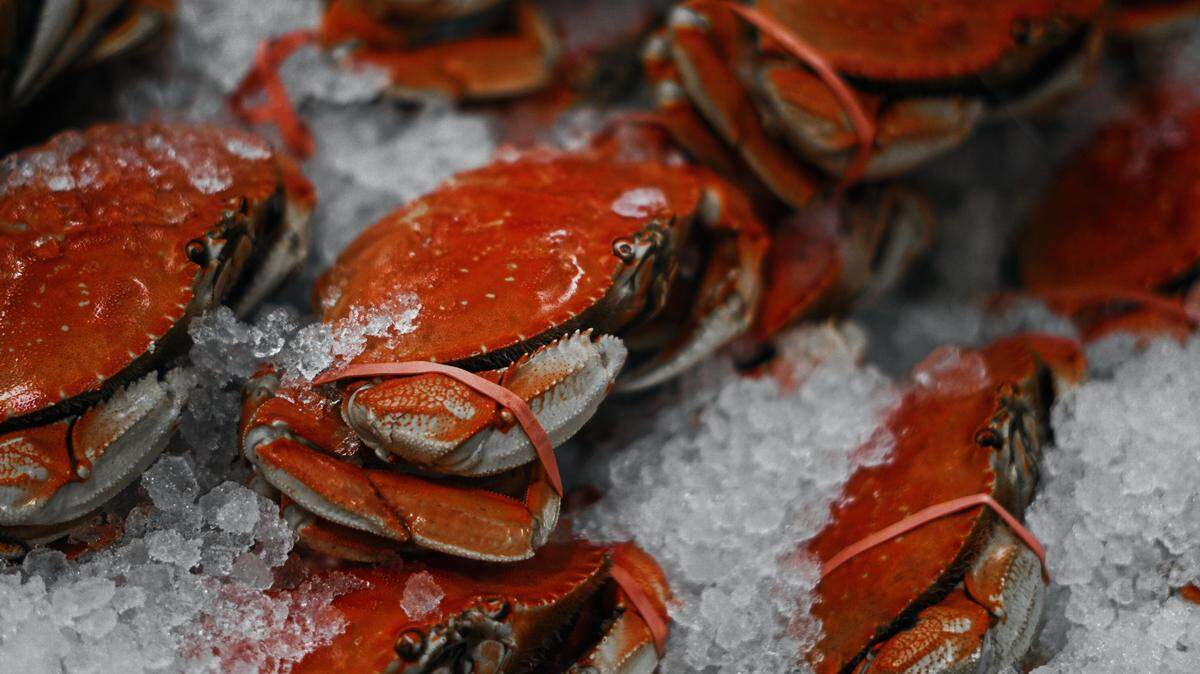 This file photo shows crab unrelated to the federal lawsuit against Irvington Seafood, Inc.
