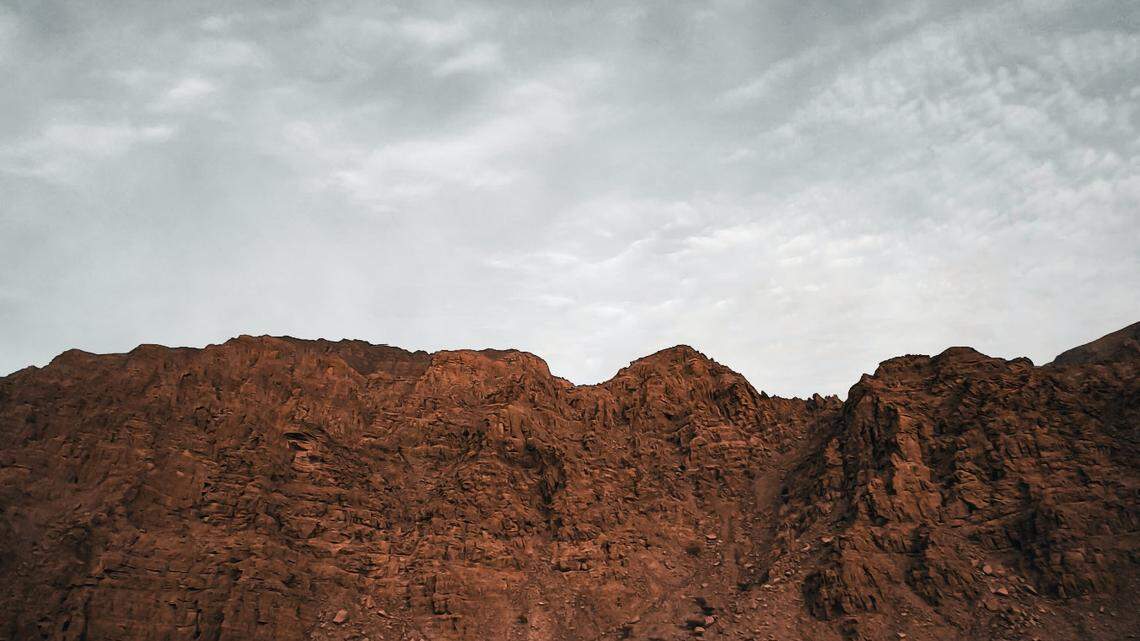 An Arabian caracal was spotted on a trap camera, Oman officials said.