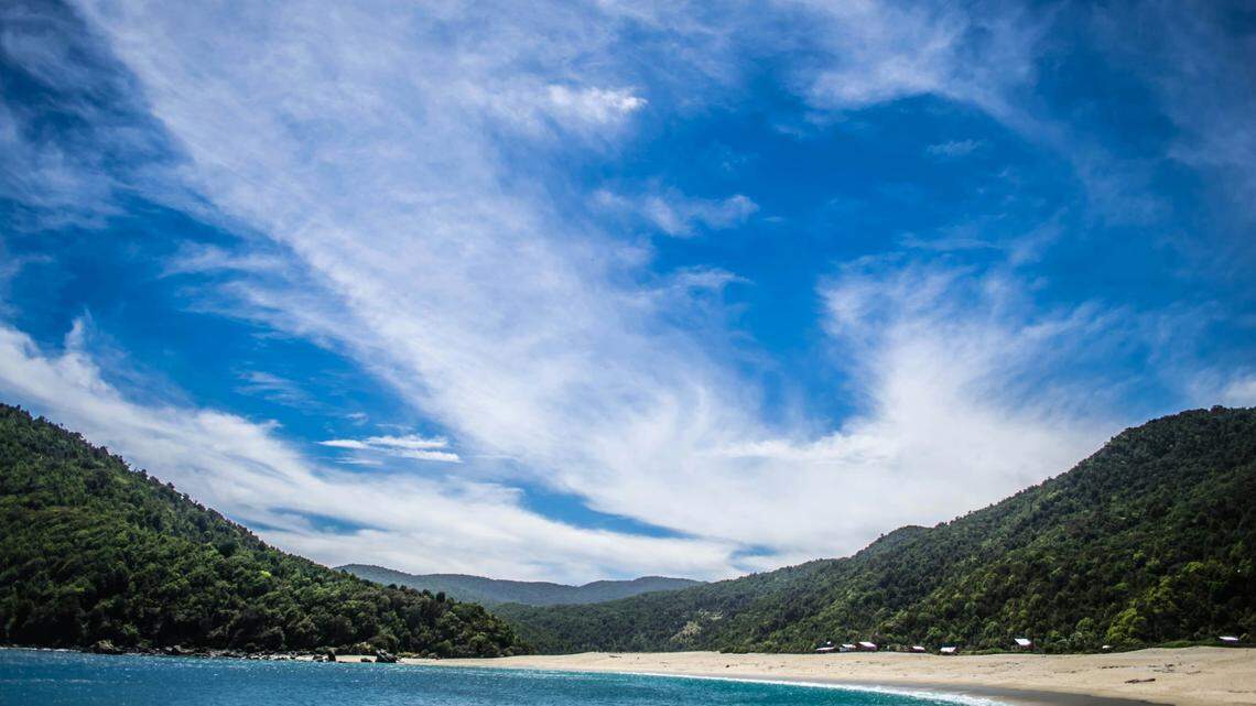 Off the northern Pacific coast of Chile, a species not described in depth since the 1800s was caught in the net of a fisher.