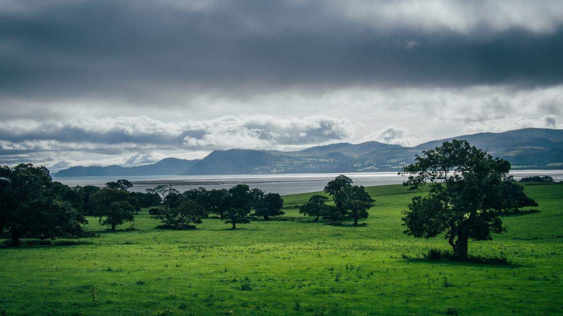 A man searching a field in Bridgend stumbled on a collection of 3,000-year-old Bronze Age treasures, archaeologist said. Photo shows a representative field in Wales.
