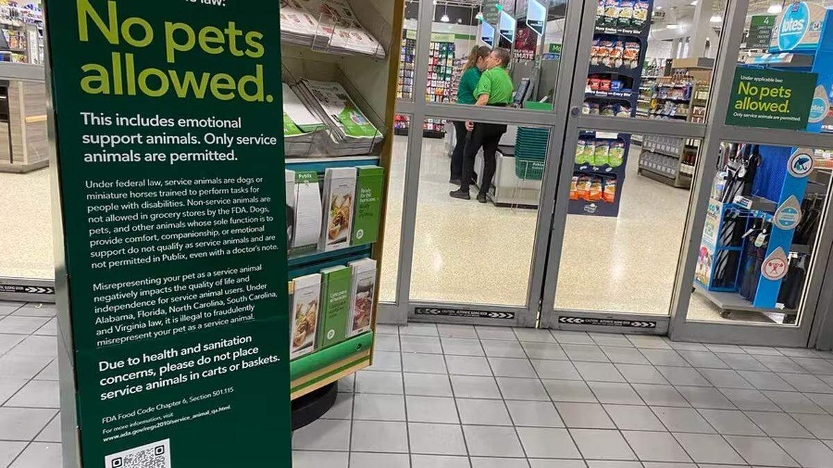 En el verano de 2023 se colocaron carteles como este en un supermercado Publix de Lutz, un suburbio 15 minutos al norte de Tampa, para recordar a los clientes que en las tiendas solo se admiten animales de servicio. Esto significa que se acabaron las mascotas pequeñas en los carritos de la compra, los perros de la familia con correa paseando por los pasillos y los animales de apoyo emocional. No se trata de una nueva política de Publix, solo de un refuerzo. Bill Varian. Tampa Bay Times