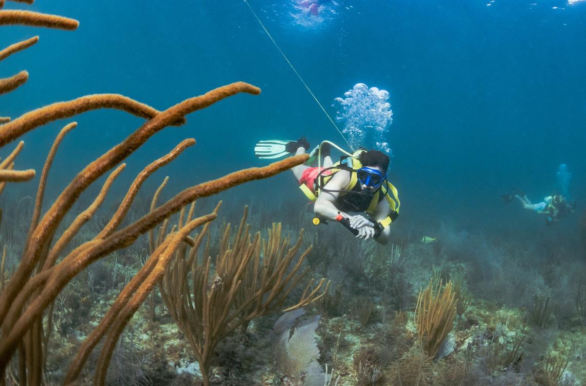 David Grieser scuba dives on a reef off South Beach.