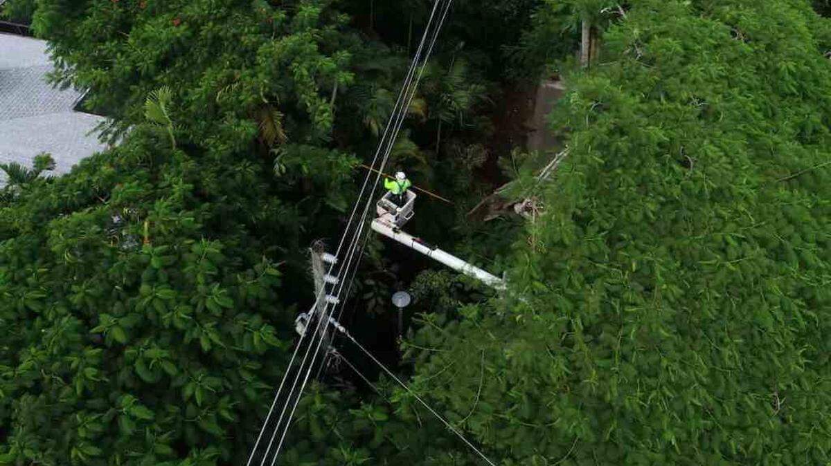 FPL used drones to identify areas where vegetation had to be cleared, as was done in Coral Gables, above, in advance of Hurricane Dorian possibly hitting land.