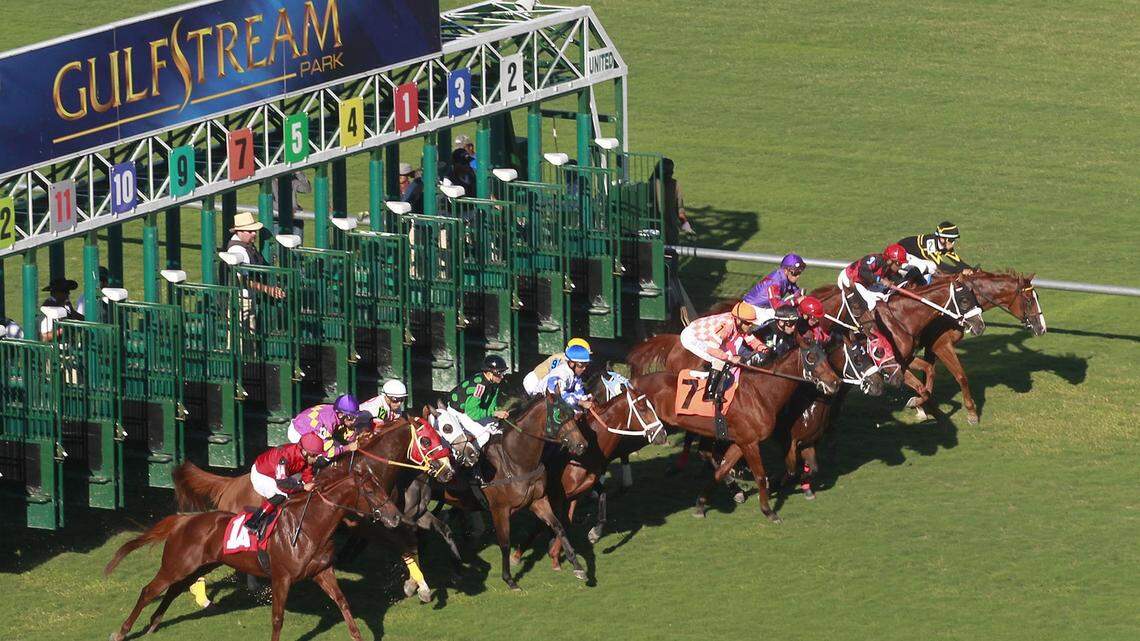 If House Bill 105 passes without a solution for thoroughbred racing, it will could harm racing at Gulfstream Park and Tampa Bay Downs—the last two major thoroughbred racetracks in the state.
