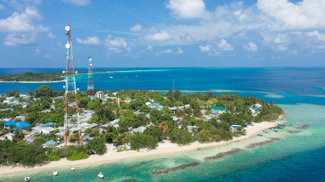 Off the Rasdhoo Atoll in the Maldives, a new species tried to hide from diving researchers.