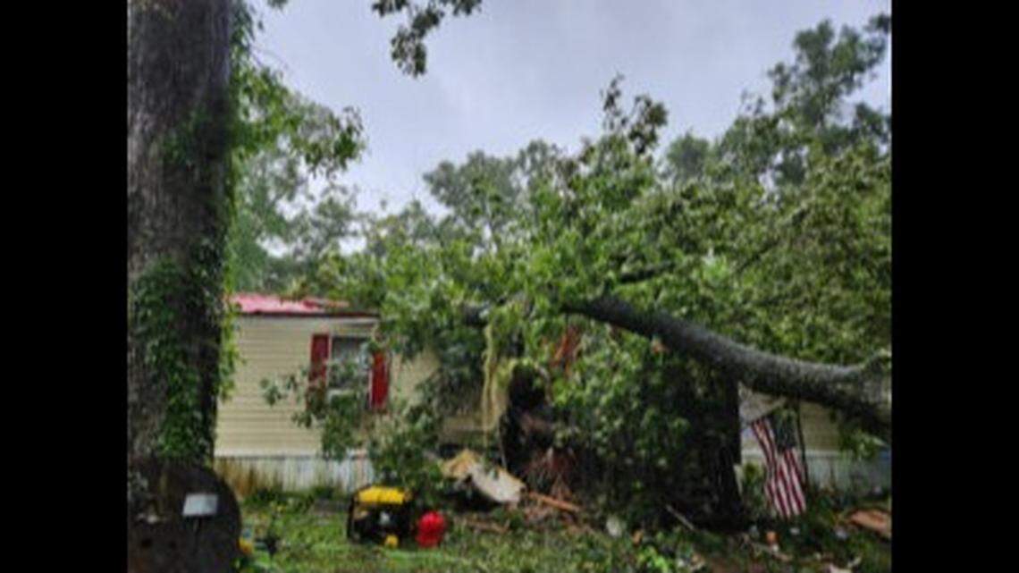 A 13-year-old boy was killed when this tree fell into a home in Levy County, Florida, according to the sheriff’s office.