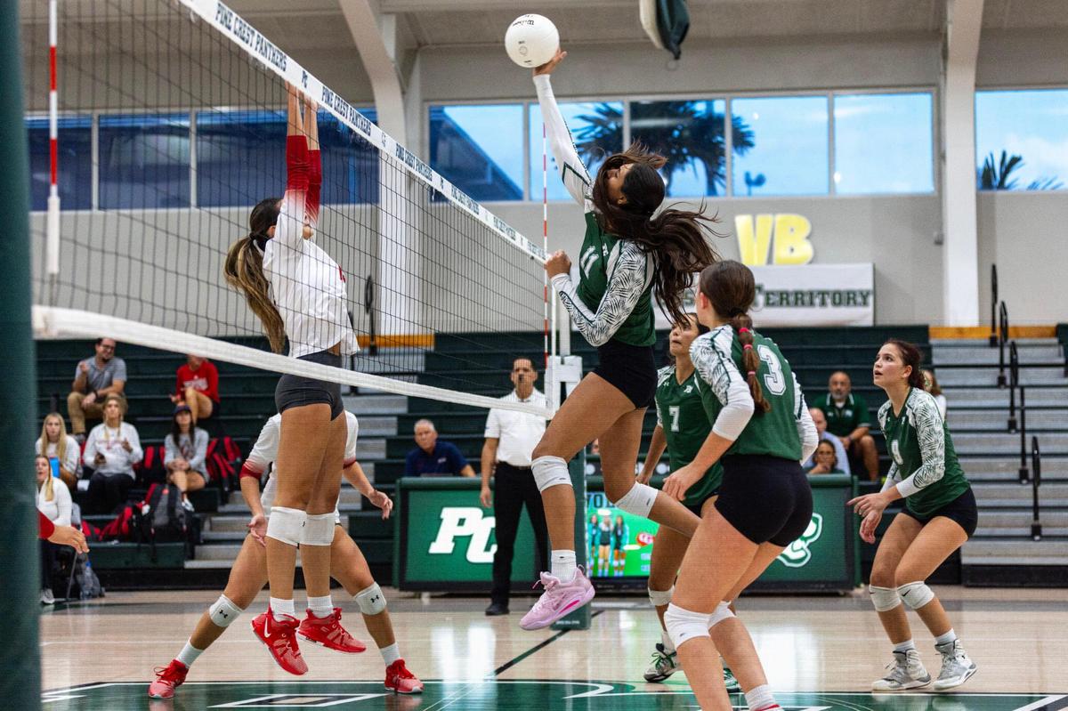 Pine Crest Panthers’ middle hitter Isabella Sangha (11) strikes the ball during a regional semifinal playoff volleyball match against Cardinal Gibbons at Pine Crest School campus in Fort Lauderdale, Florida, on Thursday, October 26, 2023.