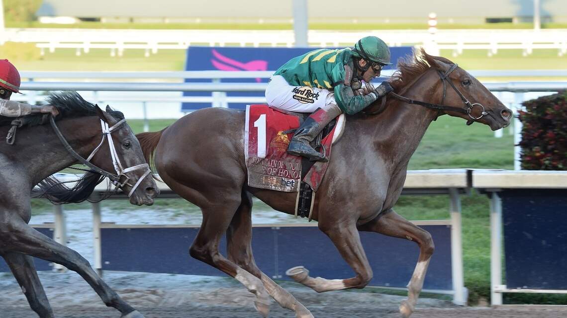 Trainer Shug McGaughey takes aim at Pegasus World Cup title with Code of Honor