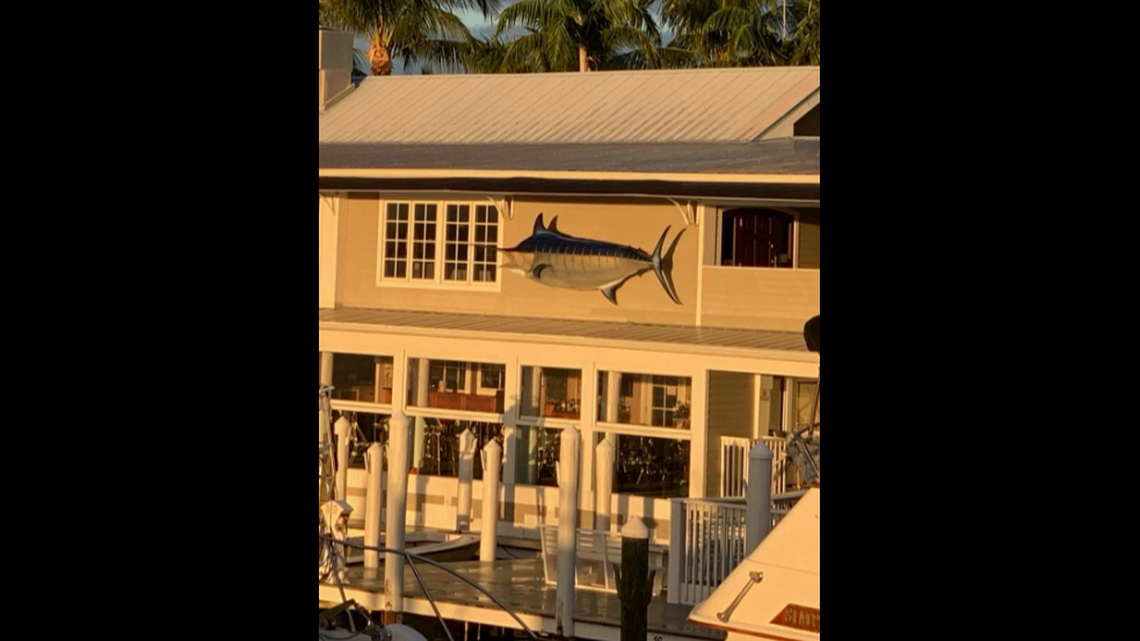 This mounted marlin has gone missing in Florida, leading to unusual search for tips in theft case.