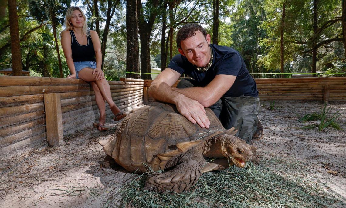 Chris Gillette and Gabby Scampone pose with a 19-year-old tortoise named Jumanji in his garden enclosure at Bellowing Acres in Ocala, Florida, on Wednesday, September 18, 2024.