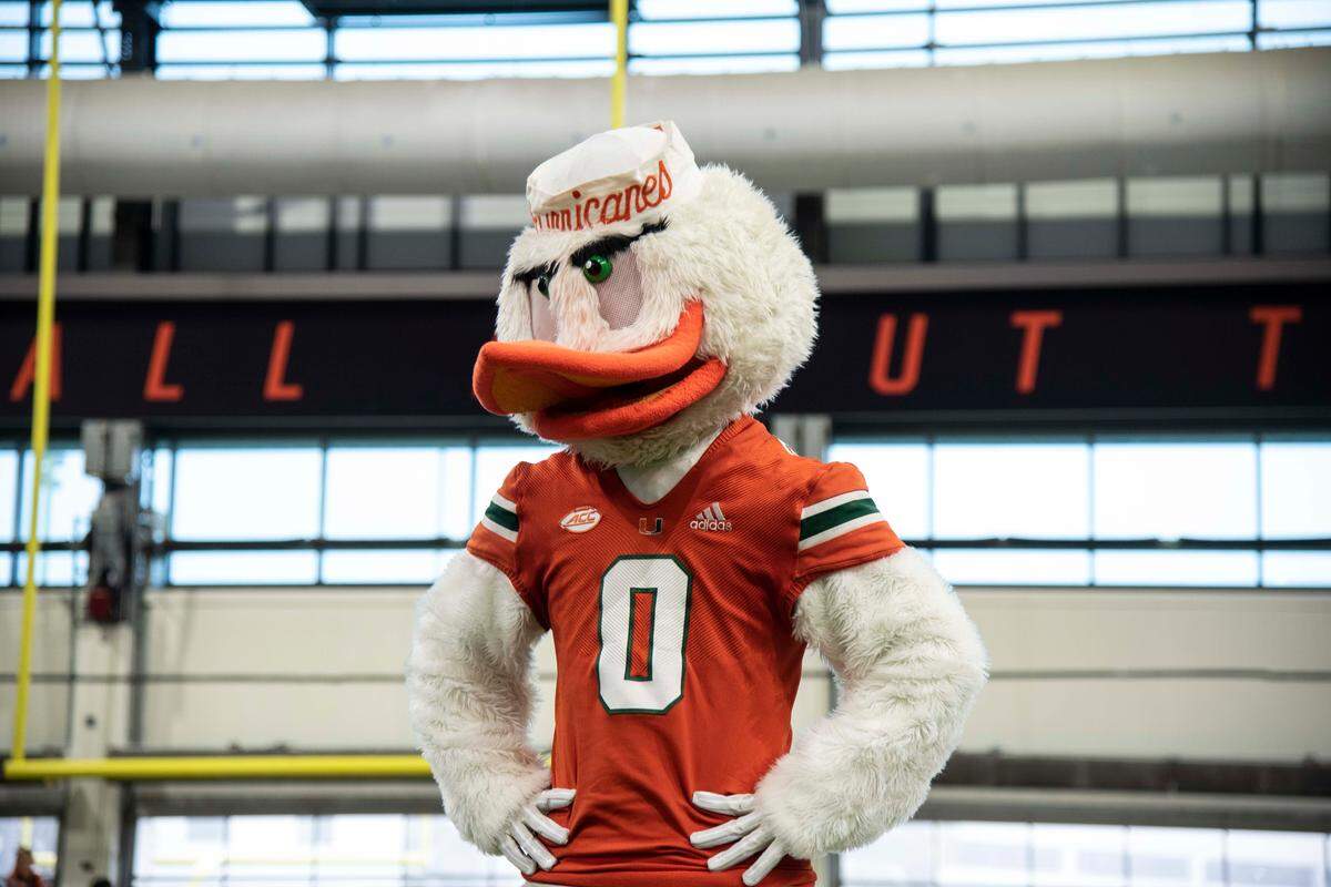 Sebastian the Ibis turned out to celebrate University of Miami’s CanesFest at Carol Soffer Indoor Practice Facility on August 3, 2019.