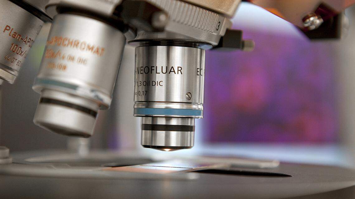 Silencio sobre un brote de E. coli muestra cómo los cambios bajo el gobierno de Trump afectan la seguridad alimentaria