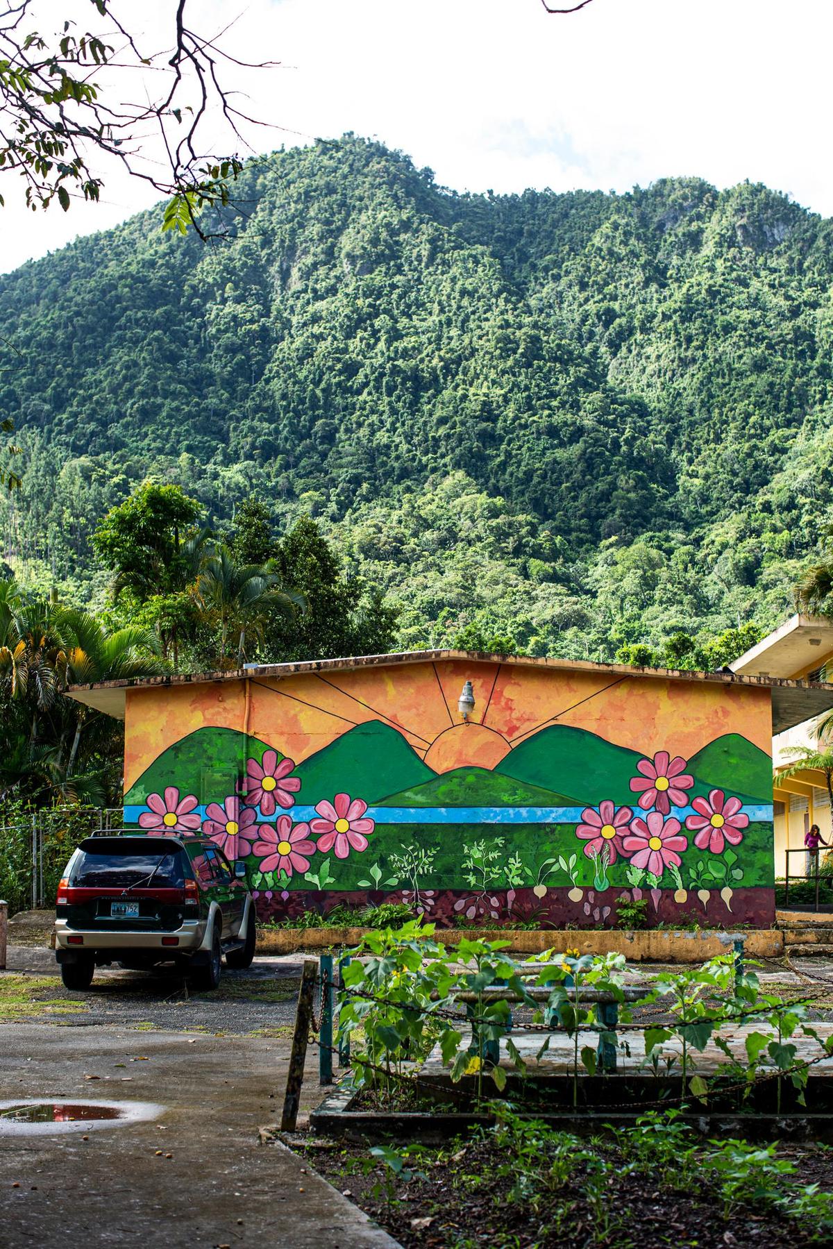 View of the Escuelita de la Tierra project in Barrio Cacao in Orocovis, Puerto Rico, on September 18, 2021.