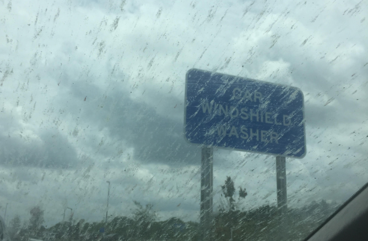Lovebugs cloud the window of a car at a turnpike plaza. A sign for high-pressured hose offers drivers some relief.