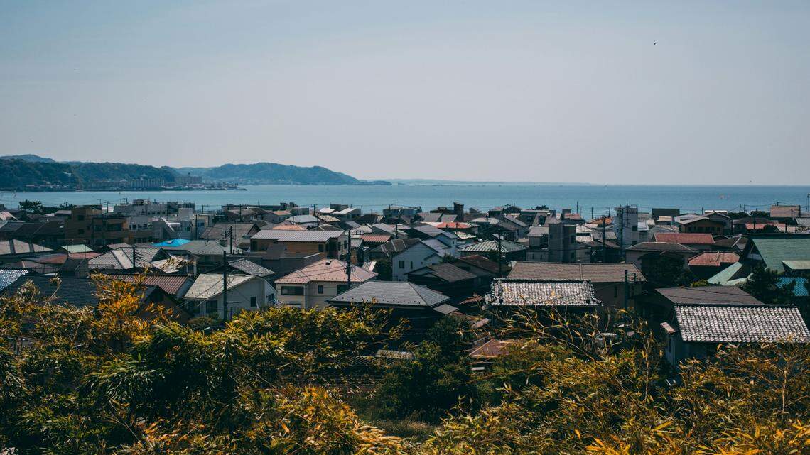 In a bay off the coast of Japan, a new species of venomous fish was discovered.