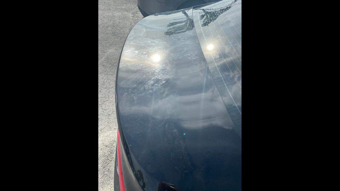 Fort Lauderdale police provided photos of Ofc. Stylianee Hayes’ vehicle showing footprints on the trunk. Hayes said protesters jumped on her vehicle and sent out a distress call believing her life was in danger, according to her official report.