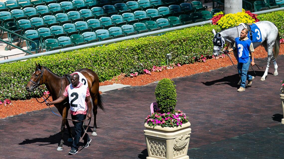 Gulfstream Park ‘threatened legal action’ when city officials asked it to close